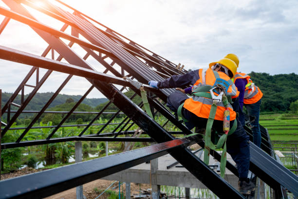 Best Storm Damage Roof Repair  in Signal Mountain, TN