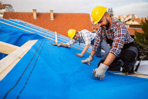 Best Gutter Installation and Roofing  in Signal Mountain, TN